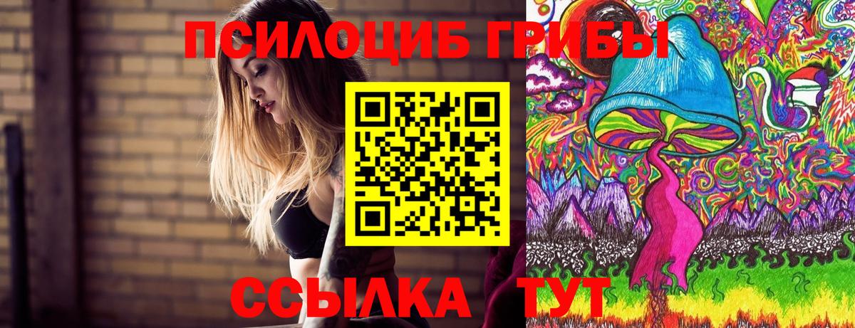 Псилоцибиновые грибы GOLDEN TEACHER  Вход с VPN  Дербент  Галлюциногенные грибы Magic Shrooms 